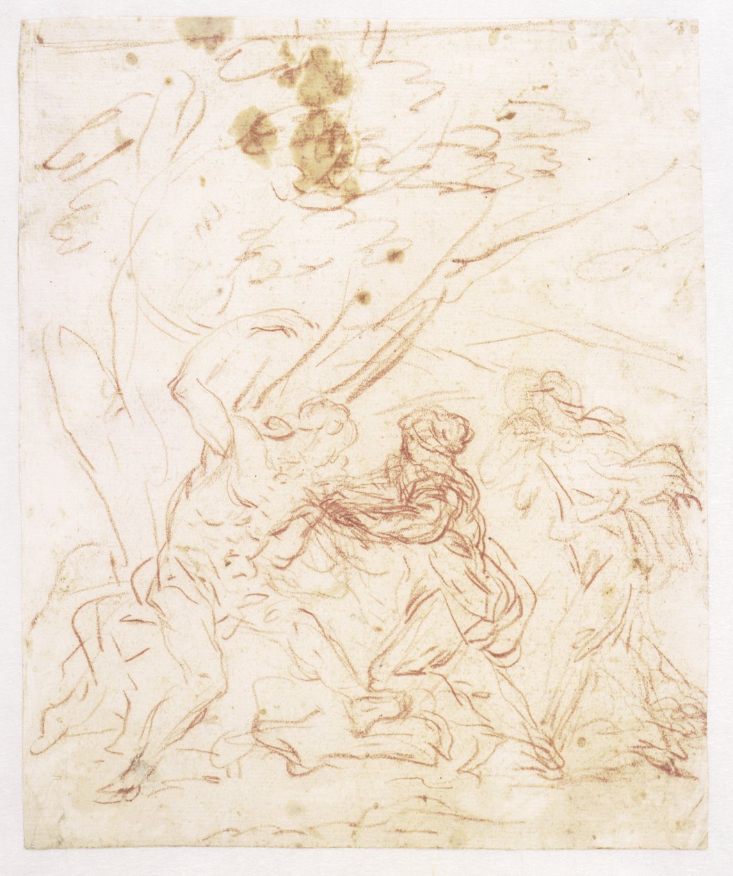 San Sebastián cuidado por Santa Irene de Francesco Solimena
