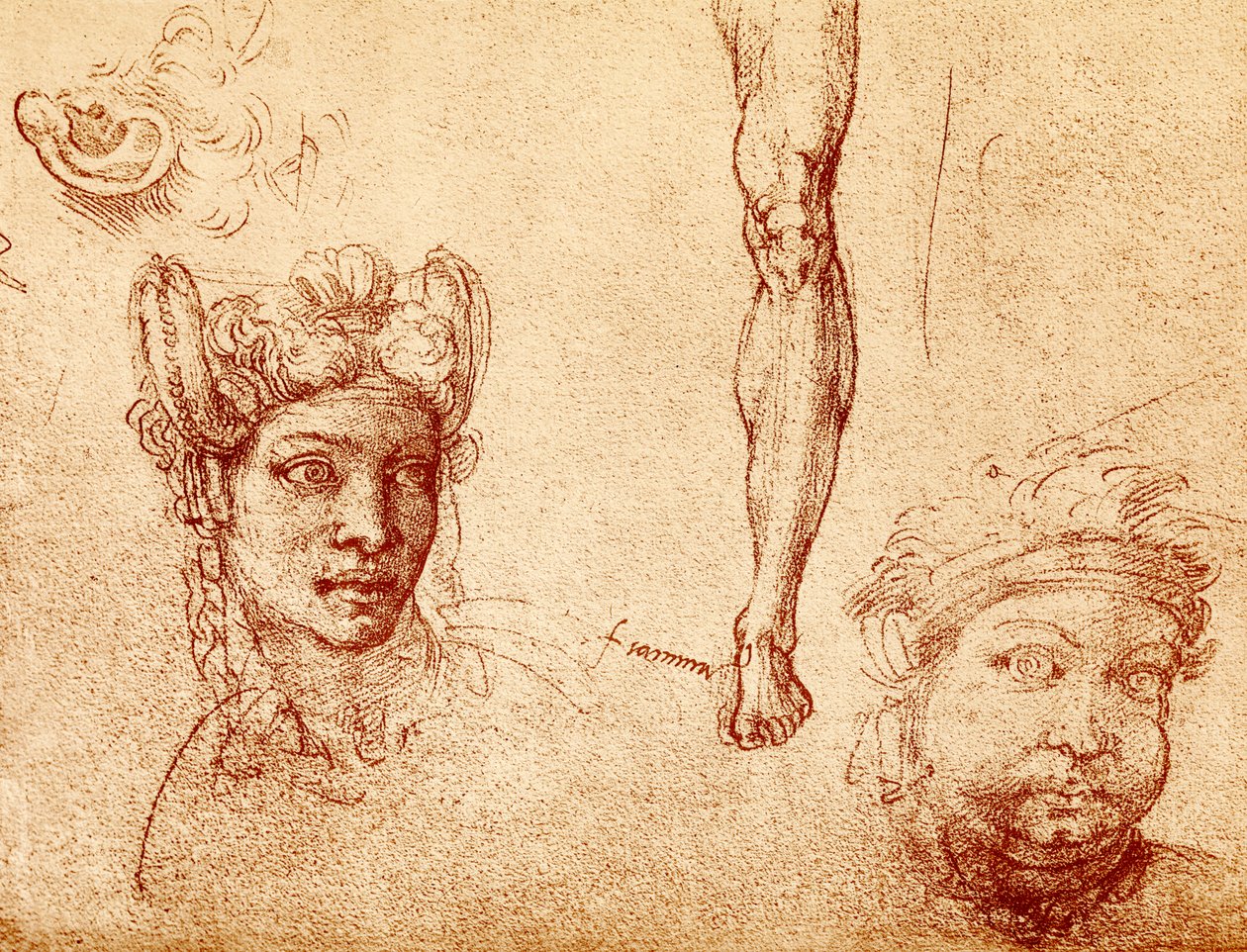 Estudios de cabeza y pierna de Francesco Ubertini Bacchiacca
