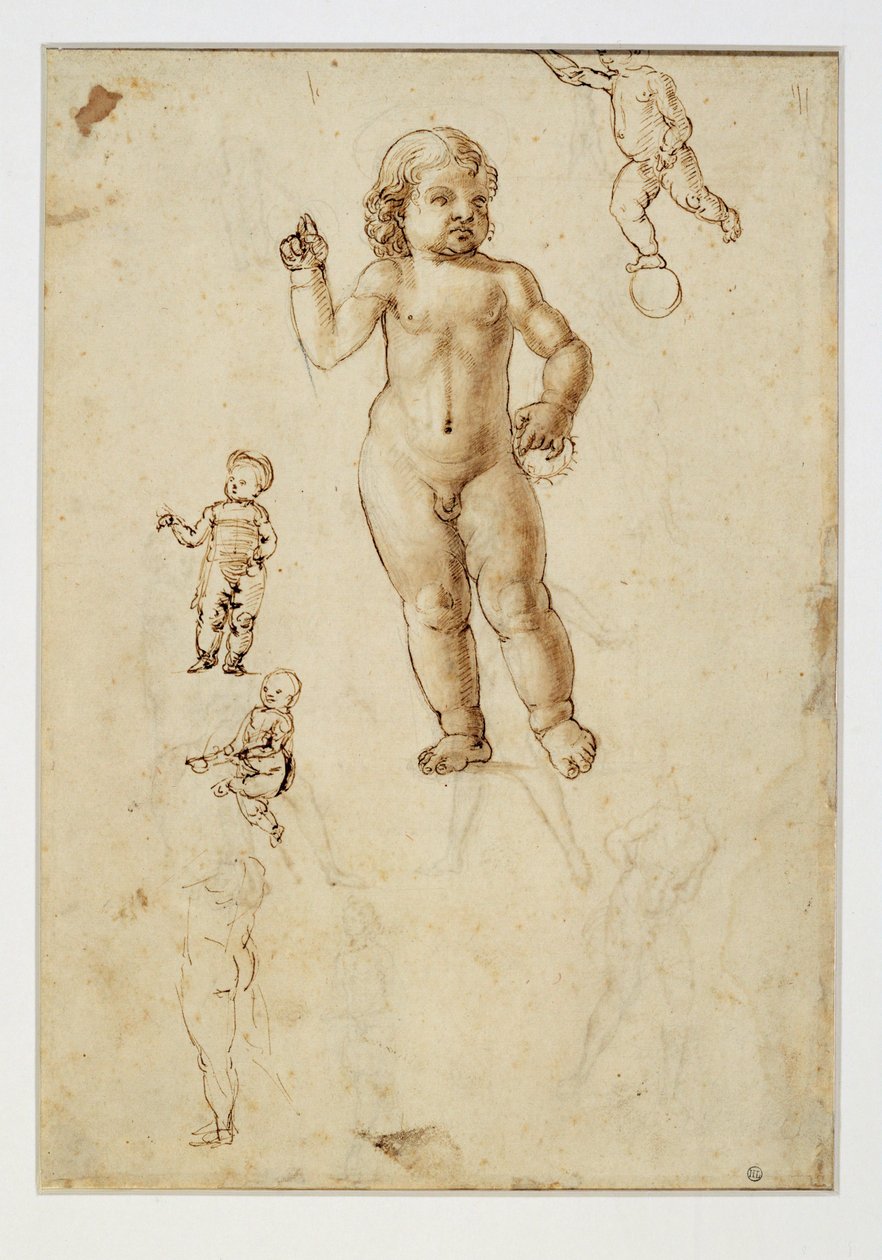 Cinco estudios de niños ... de Francesco di Simone (attr. to)
