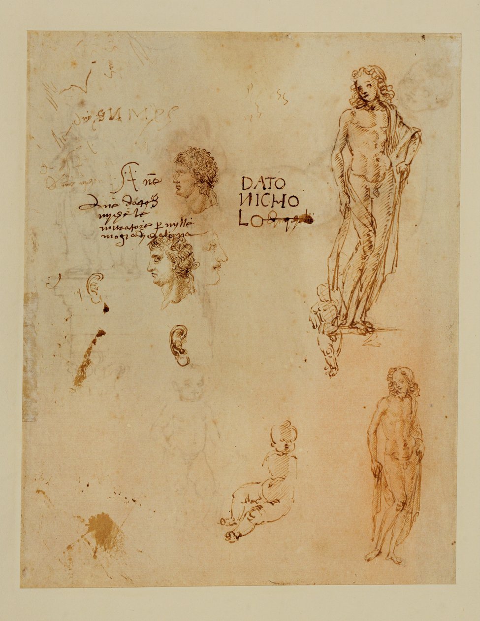 Tres perfiles;orejas;dos Apolos ... de Francesco di Simone (attr. to)