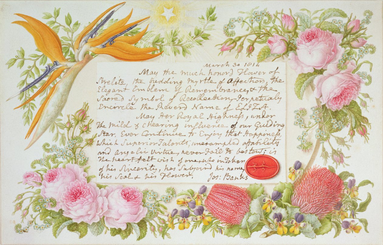 Un entorno de flores mixtas con un mensaje inscrito por Joseph Banks, 1814 de Francis Bauer