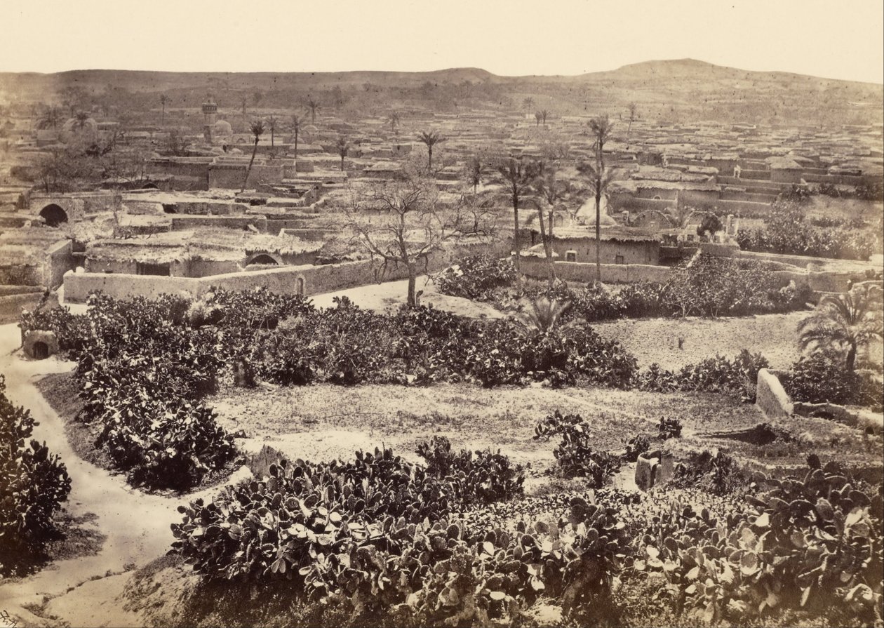 Gaza, la nueva ciudad de Francis Frith