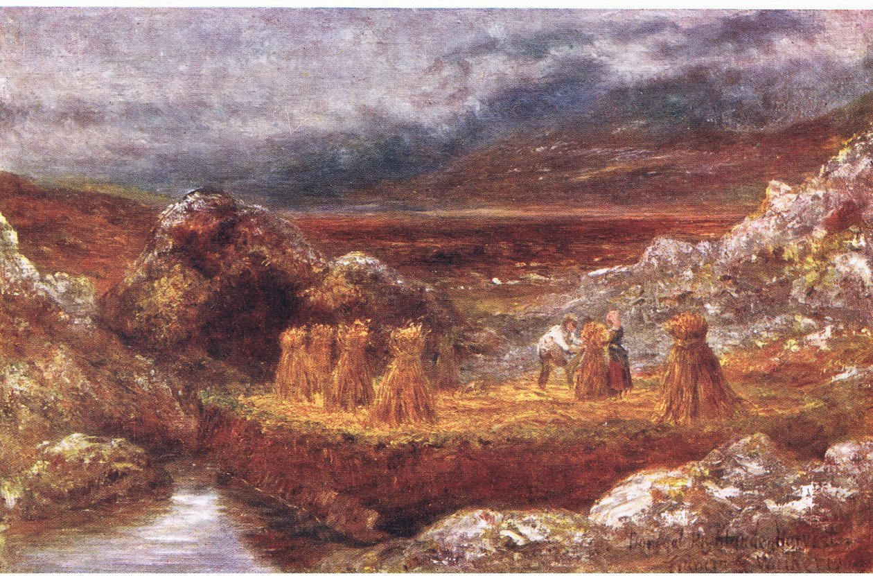 Una cosecha en Donegal, de Vistazos a Muchos Países: Irlanda publicado por Adams & Charles, 1909 de Francis S. Walker