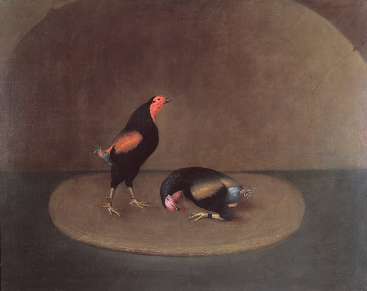 Peleadores de gallos de J. Francis Sartorius