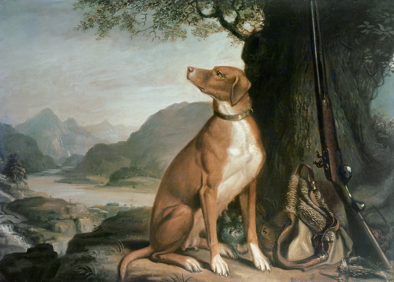 El perro de caza favorito de G. M. Johnston en un paisaje de J. Francis Sartorius