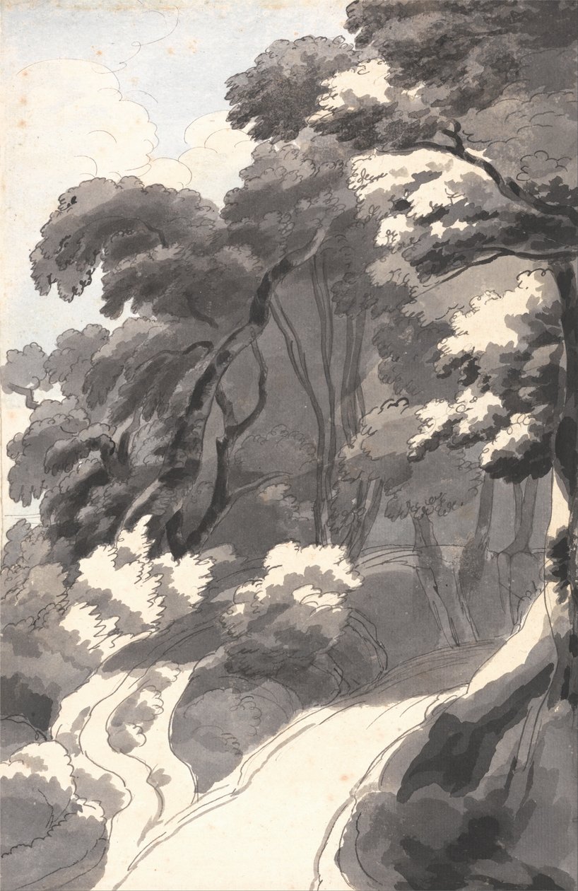 El bosque de castaños, cerca de Rocca del Papa cerca del lago Albano de Francis Towne