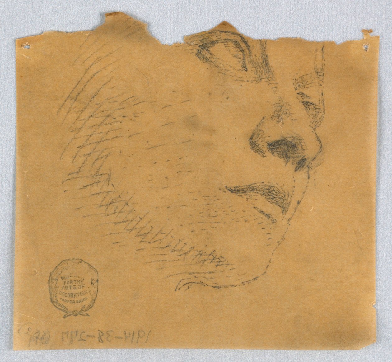 Boceto Parcial de una Cara de Francis Augustus Lathrop