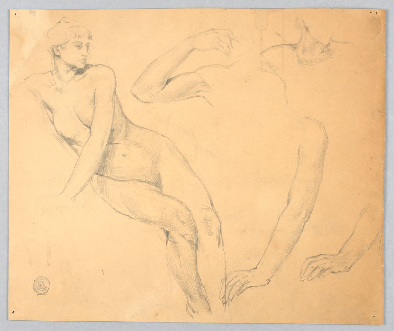 Bocetos de un desnudo femenino y brazos de Francis Augustus Lathrop