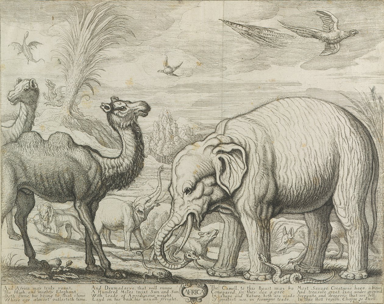 África, 1672 de Francis Barlow