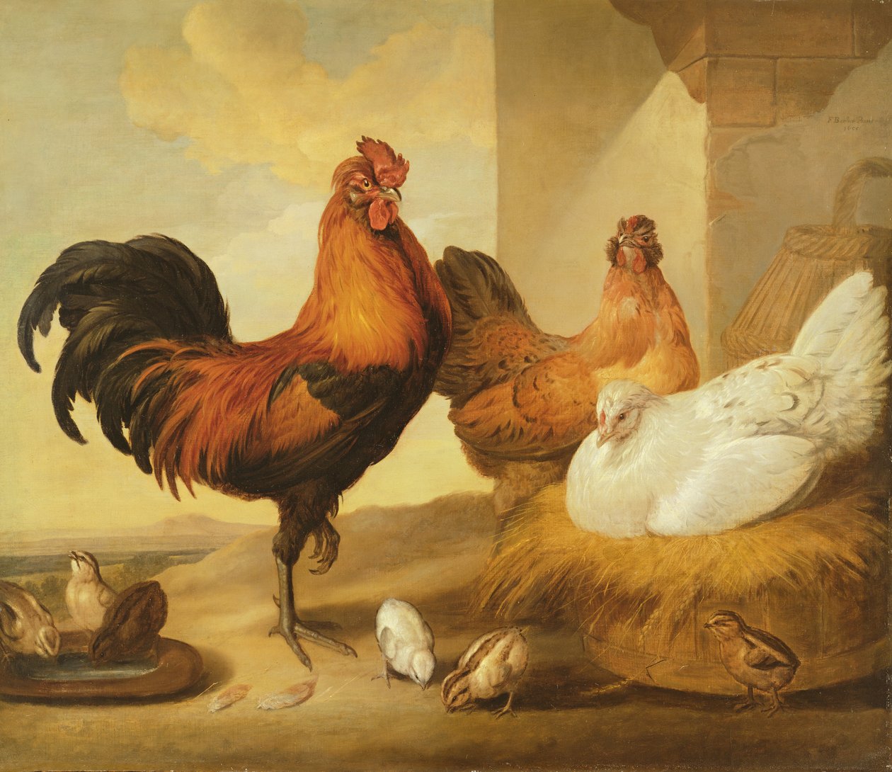 Gallo doméstico, gallinas y pollitos, 1655 de Francis Barlow