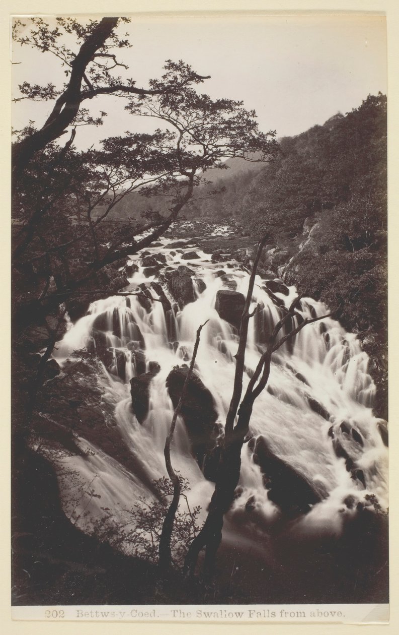 Bettws-y Coed, Las Cataratas Swallow desde Arriba, 1860-94 de Francis Bedford