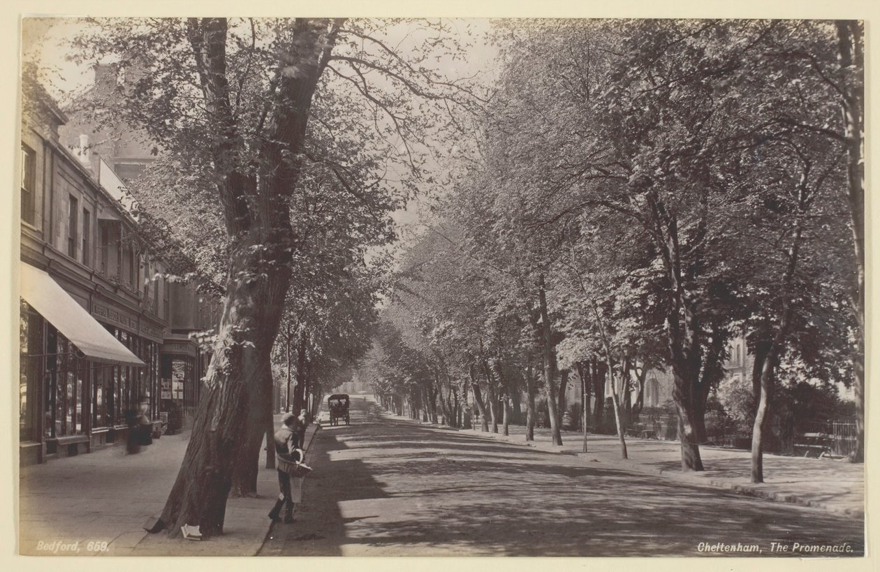 Cheltenham, el Paseo, 1860-94 de Francis Bedford