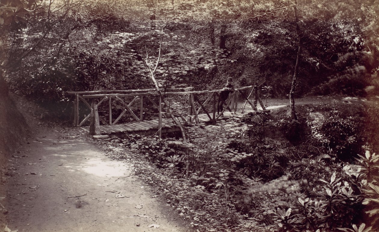 Colwyn Bay. Puente rústico en el bosque, 1870s de Francis Bedford