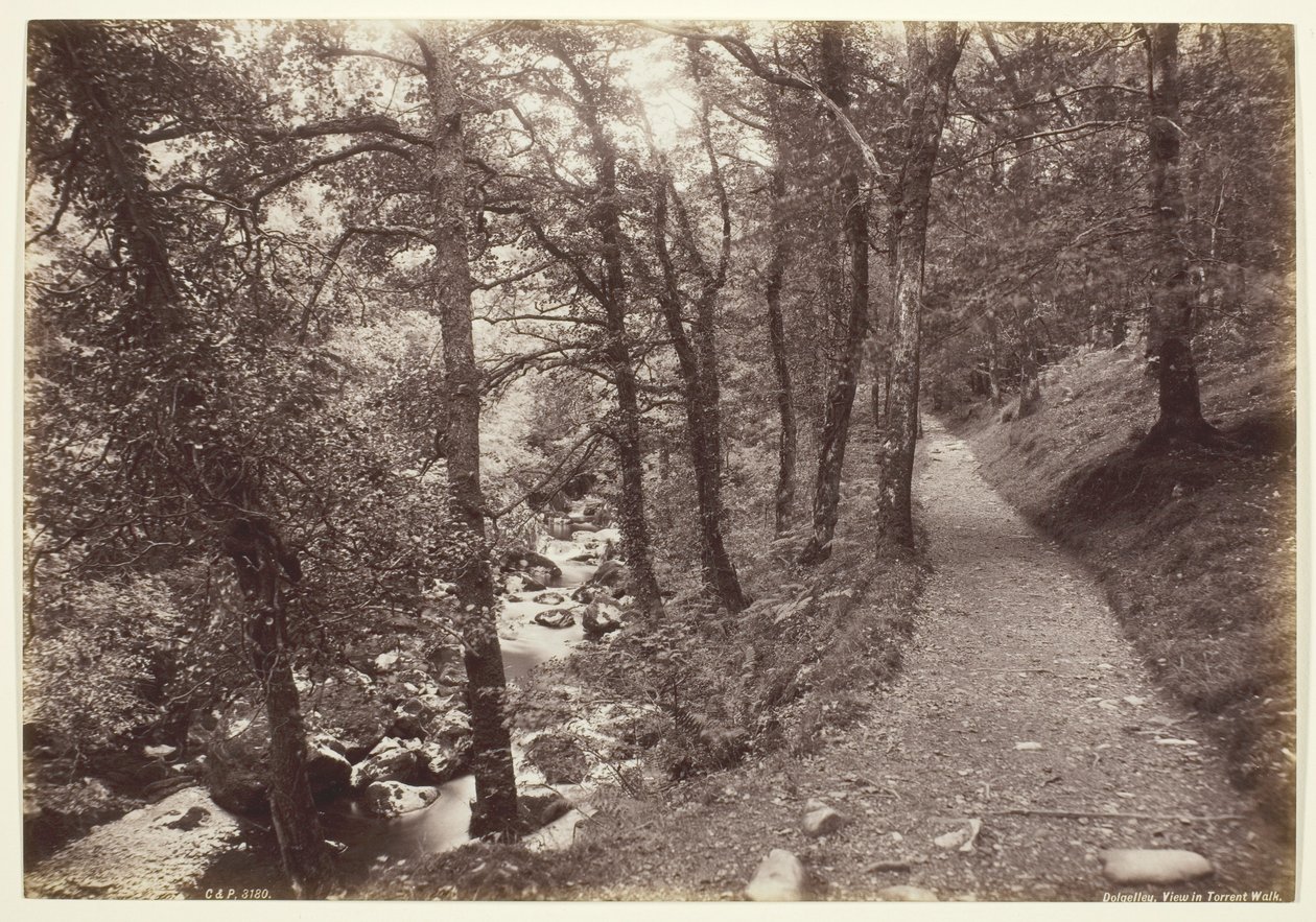 Dolgelley, Vista en el Paseo del Torrente de Francis Bedford