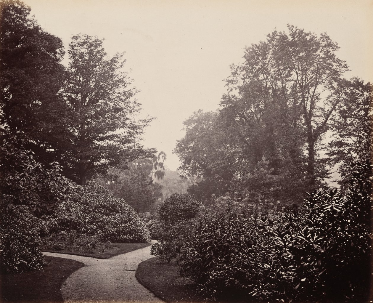 Camino en Alexandra Park,c. 1863 (foto) de Francis Bedford