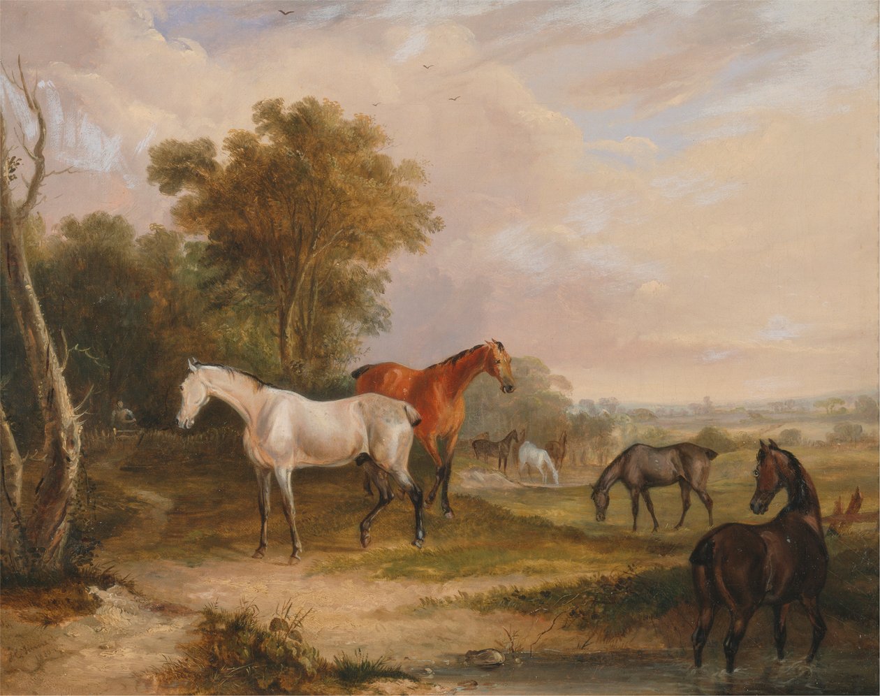 Caballos pastando: un semental gris pastando con yeguas en un prado de Francis Calcraft Turner
