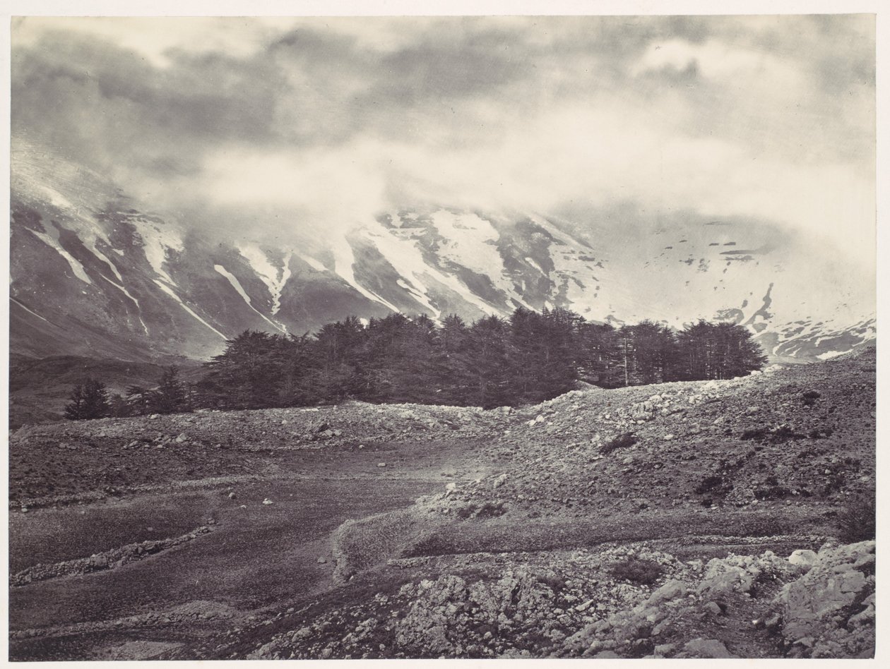 Vista lejana de los cedros del Líbano de Francis Frith