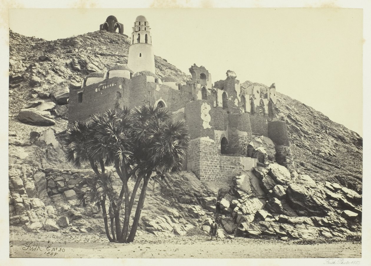 Palmera Doum y Mezquita en Ruinas, Filé de Francis Frith