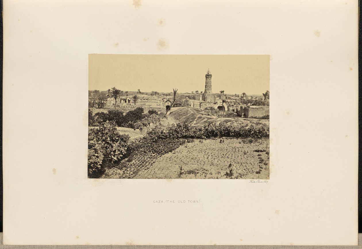 Gaza (casco antiguo) de Francis Frith