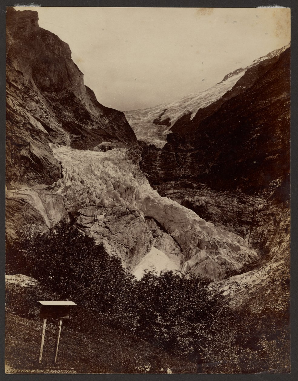 Glaciar Superior de Grindelwald de Francis Frith