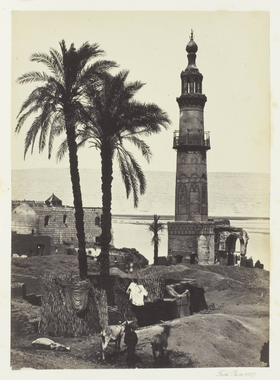 Vista de Girgeh, Alto Egipto de Francis Frith
