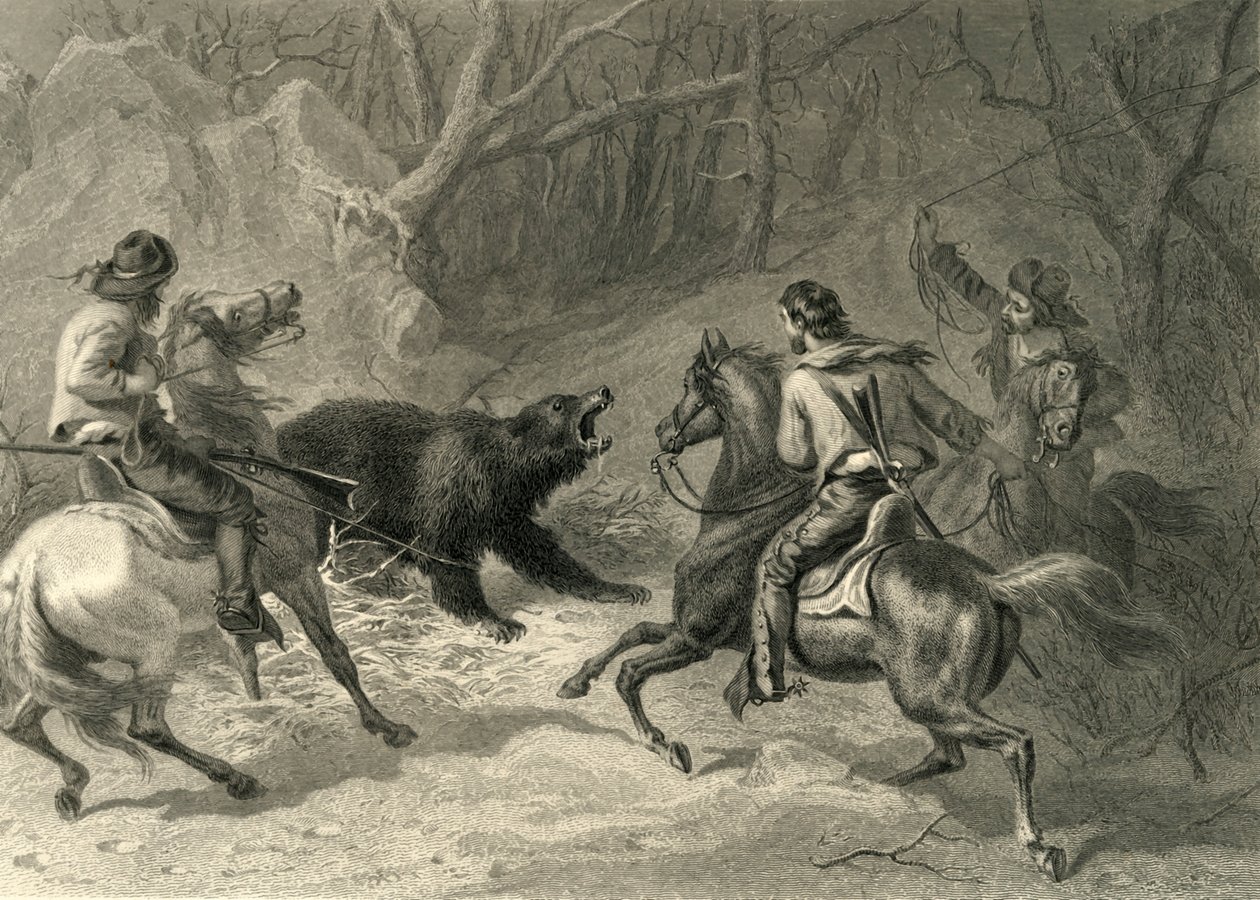 Californianos nativos lazando un oso de Francis Holl