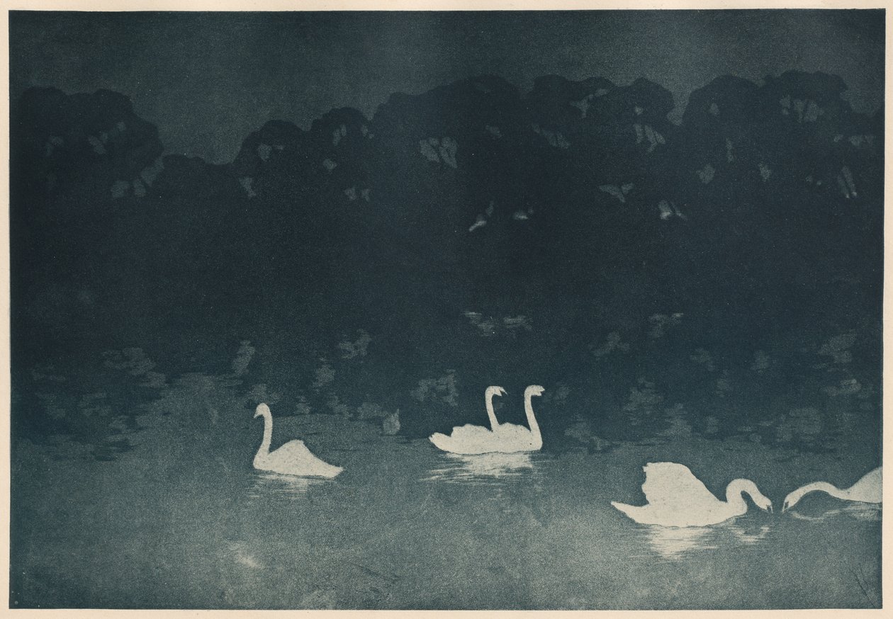 los cisnes de Francis Jourdain