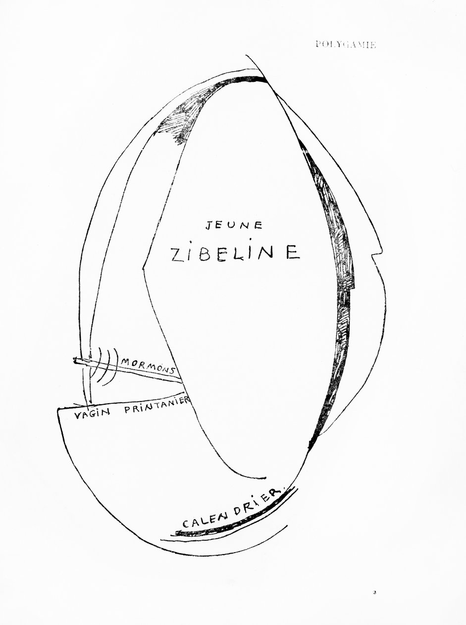 Poemes et Dessins de la Fille nee sans Mere, nº 15, publicado por Imprimeries Reunies, Lausana de Francis Picabia