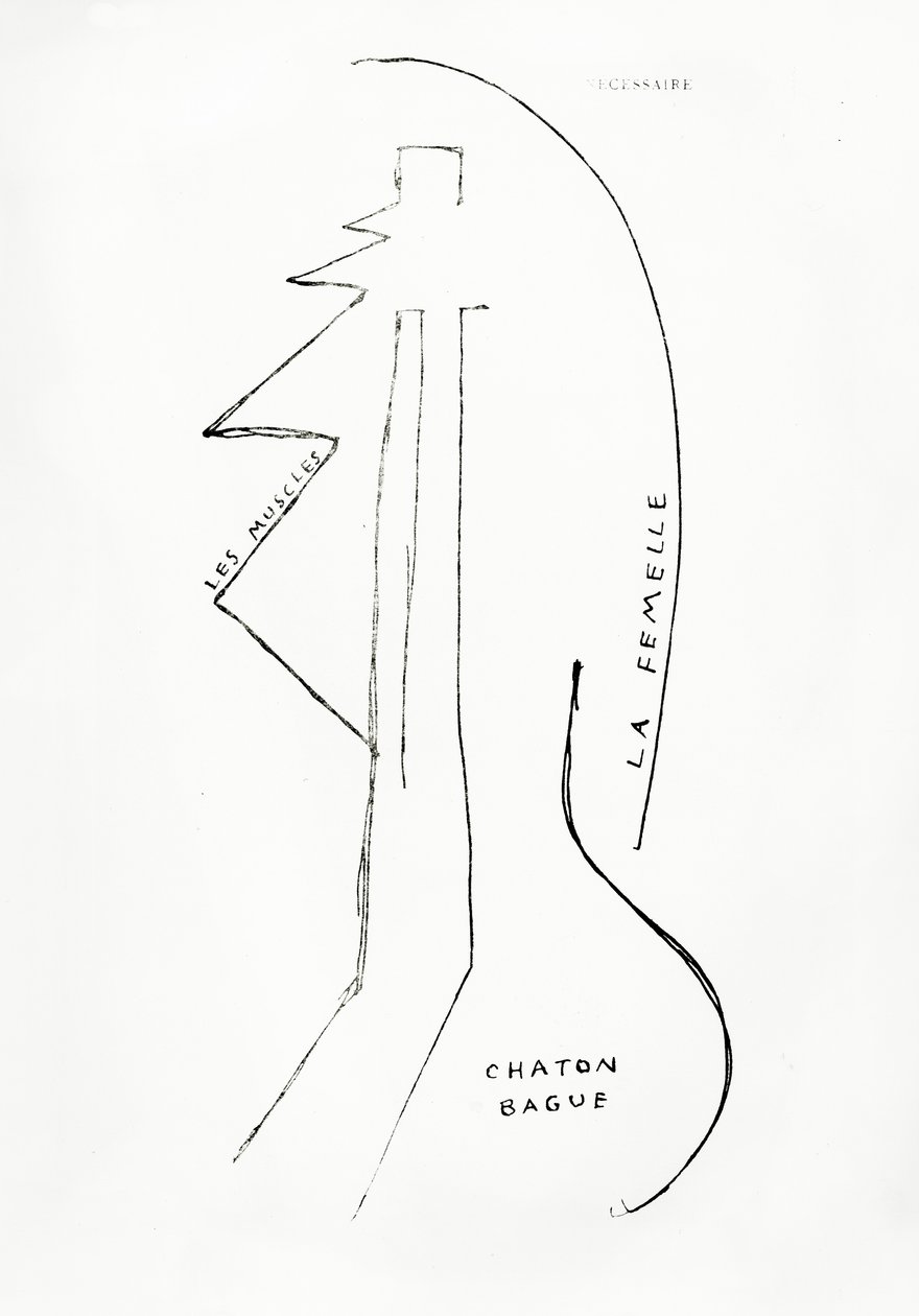 Poemes et Dessins de la Fille nee sans Mere, nº 23, publicado por Imprimeries Reunies, Lausana. de Francis Picabia