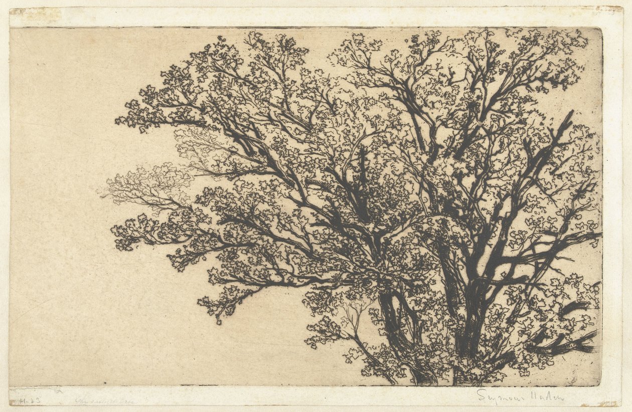 copa de un arbol El árbol más antiguo de Francis Seymour Haden (Sir) (signed by artist)