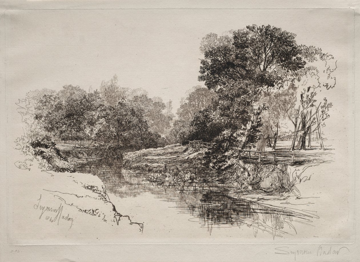 Un río en Irlanda, 1864 de Francis Seymour Haden