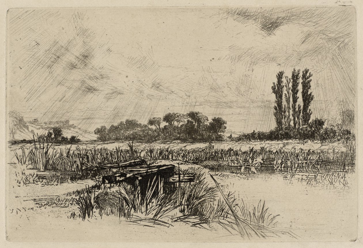 Un prado de agua de Francis Seymour Haden