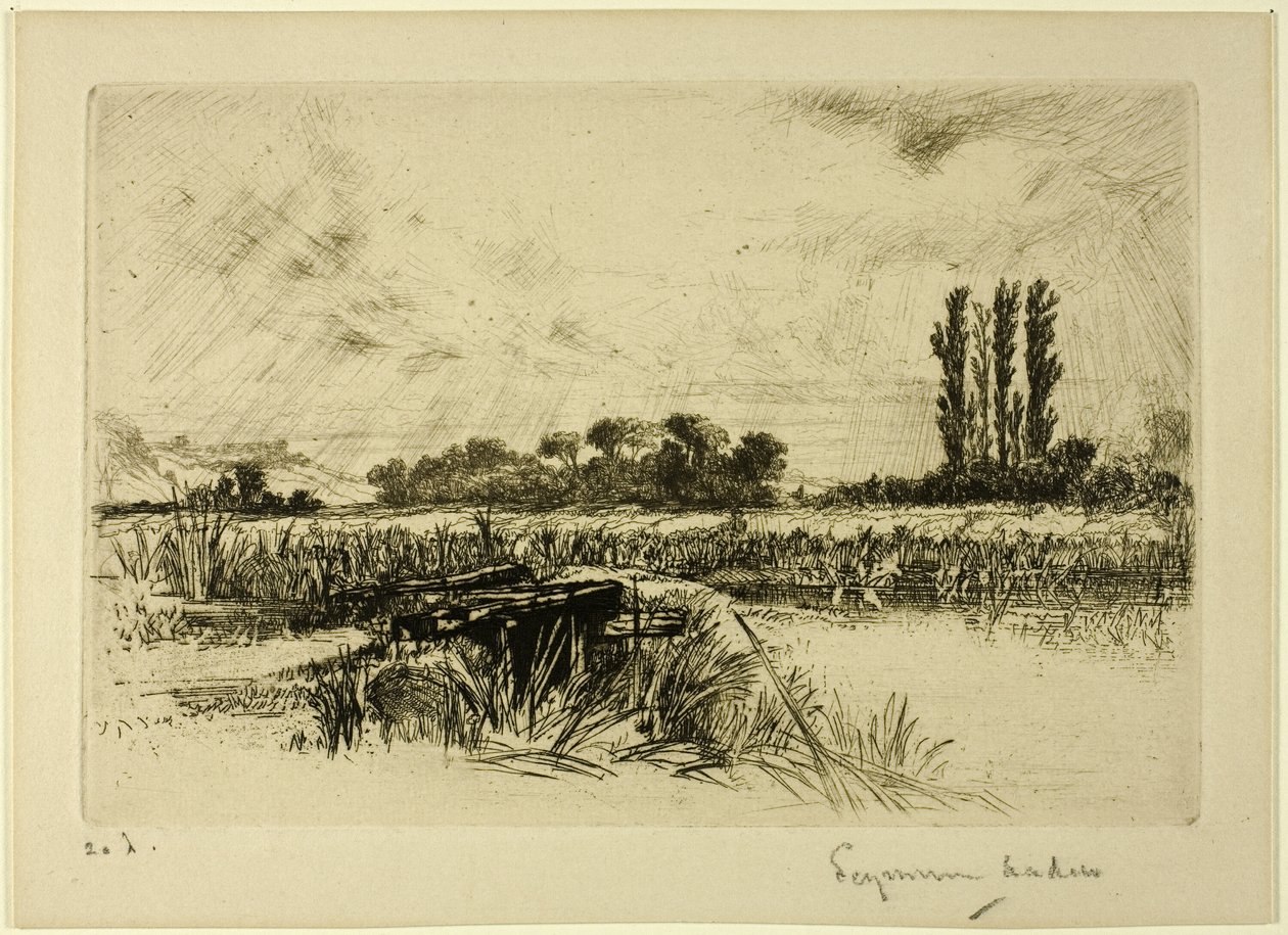 Un prado acuático de Francis Seymour Haden