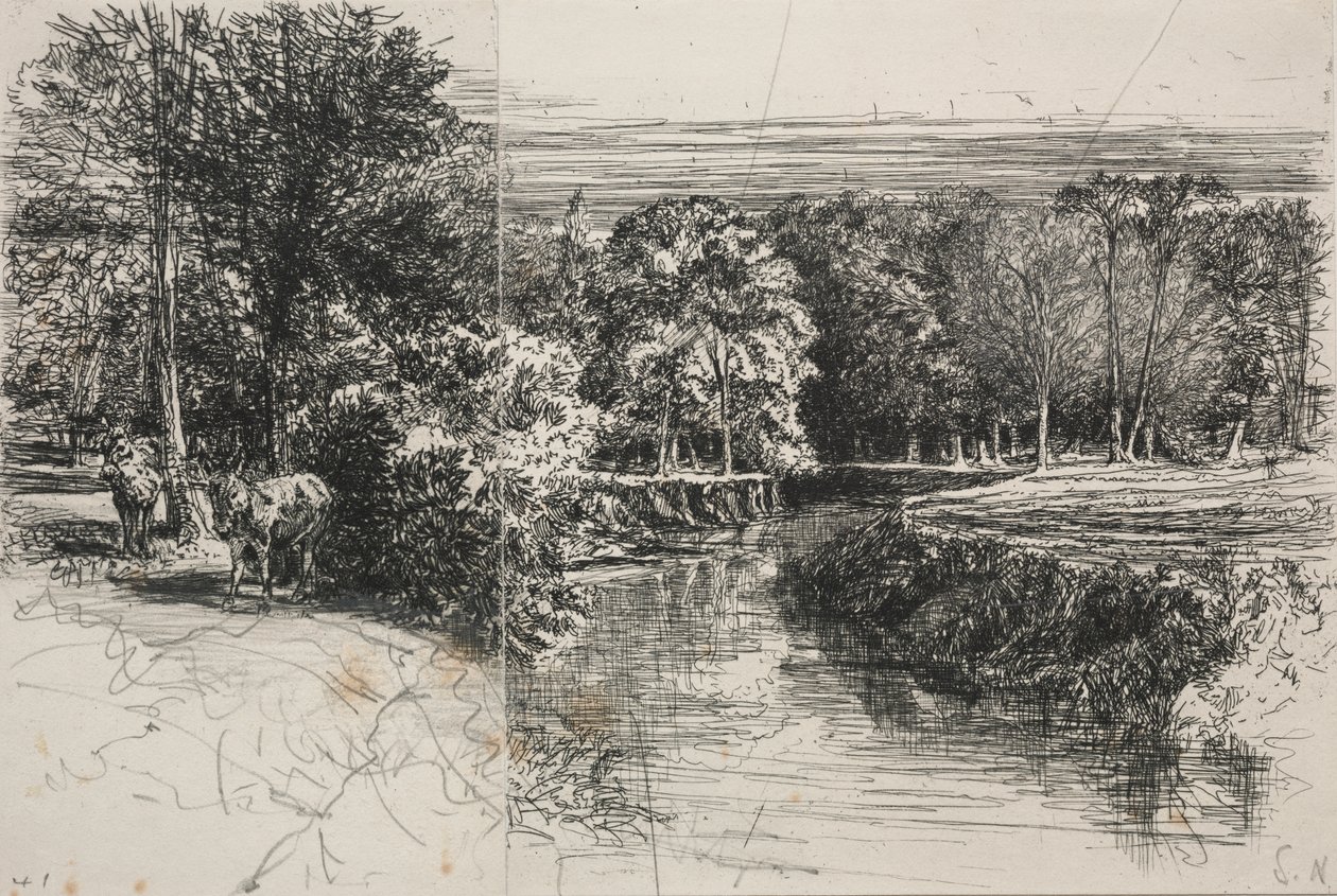 Río Dundrum y los dos burros de Francis Seymour Haden