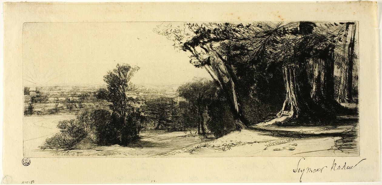 Temprano en la mañana, Parque Richmond de Francis Seymour Haden