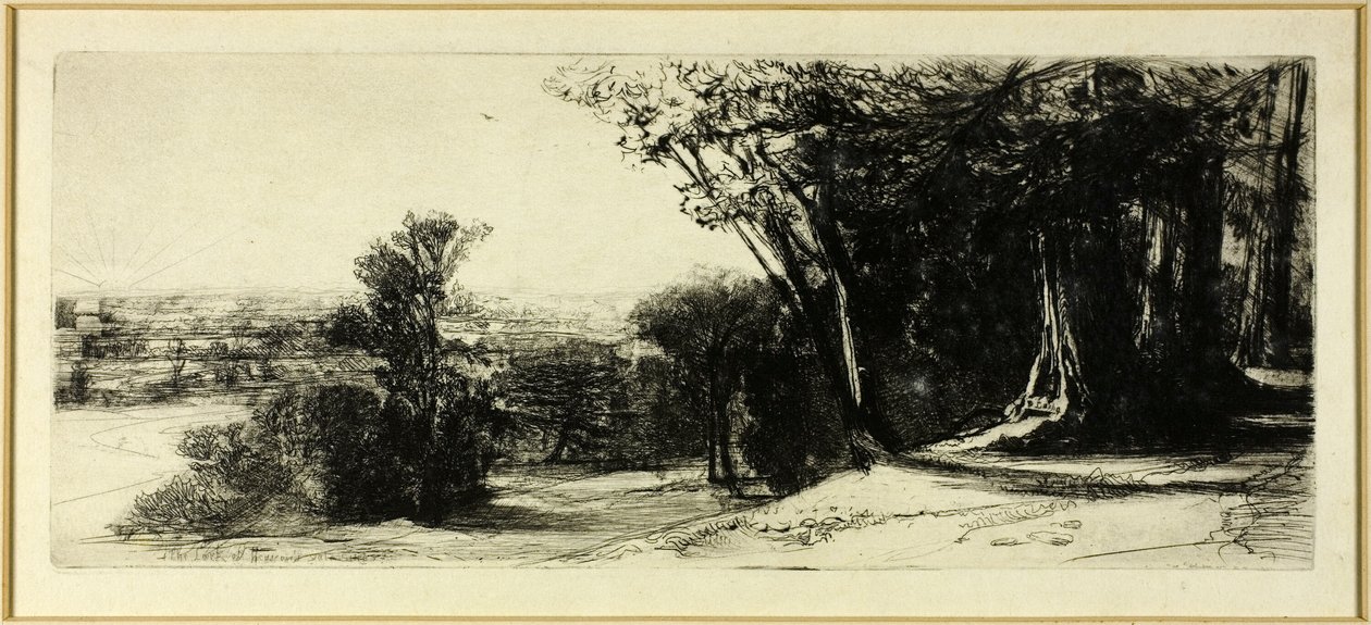 Temprano en la mañana, Parque Richmond de Francis Seymour Haden