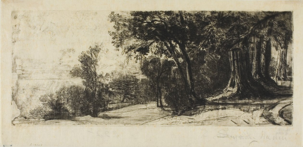 Temprano en la mañana, Parque Richmond de Francis Seymour Haden