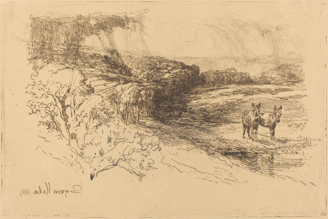 Bosques de Encombe (No.1) de Francis Seymour Haden