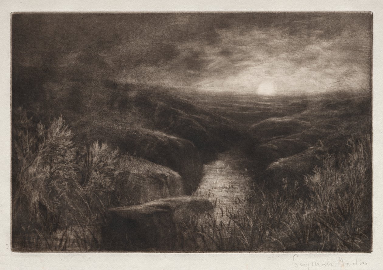 El refugio del mosquito de Francis Seymour Haden