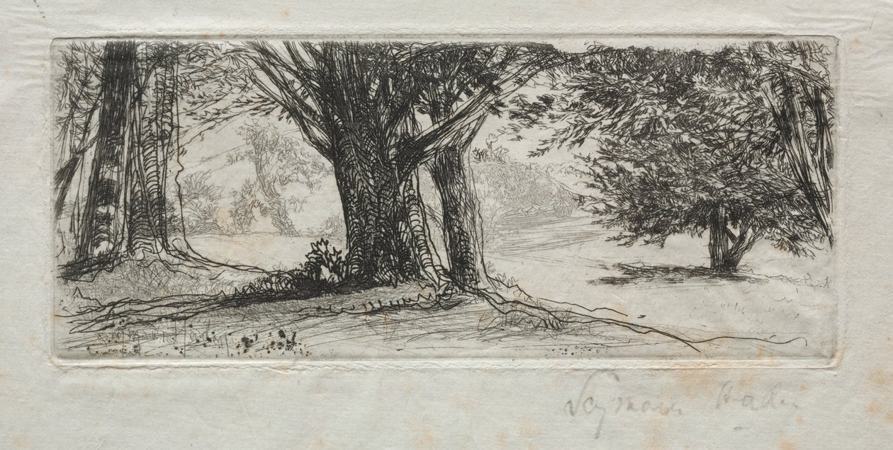 Campo de acebos de Francis Seymour Haden