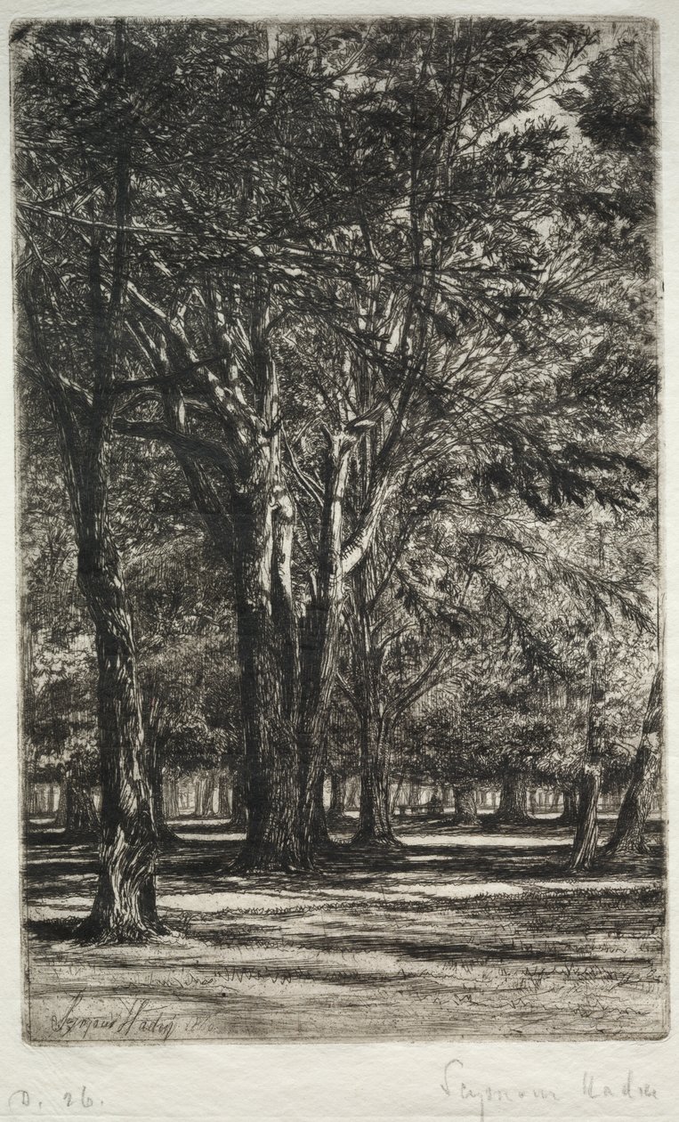 Jardines de Kensington (La Placa Mayor) de Francis Seymour Haden