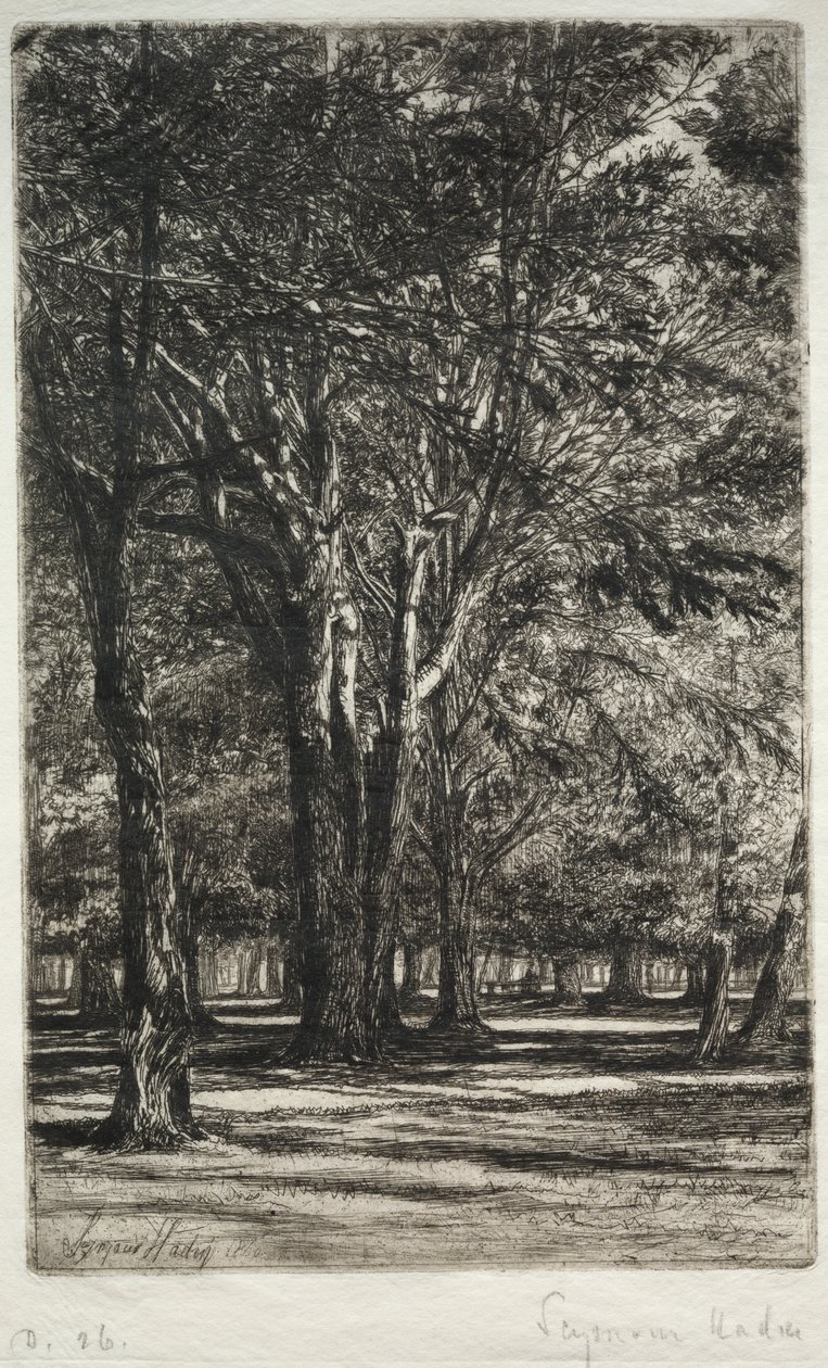 Kensington Gardens La Placa Mayor, 1860 de Francis Seymour Haden