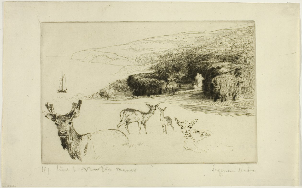 Newton Manor de Francis Seymour Haden
