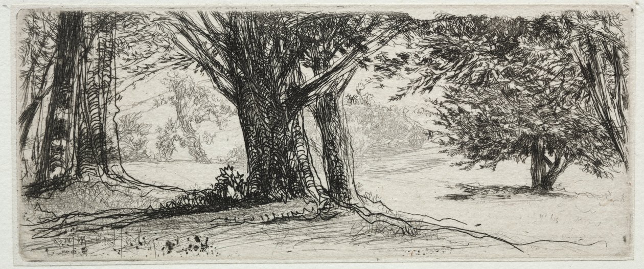 El campo de acebos de Francis Seymour Haden