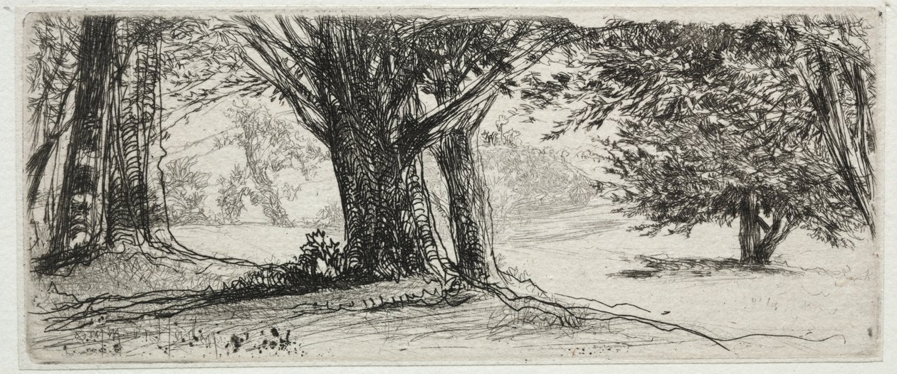 El Campo de Acebos de Francis Seymour Haden