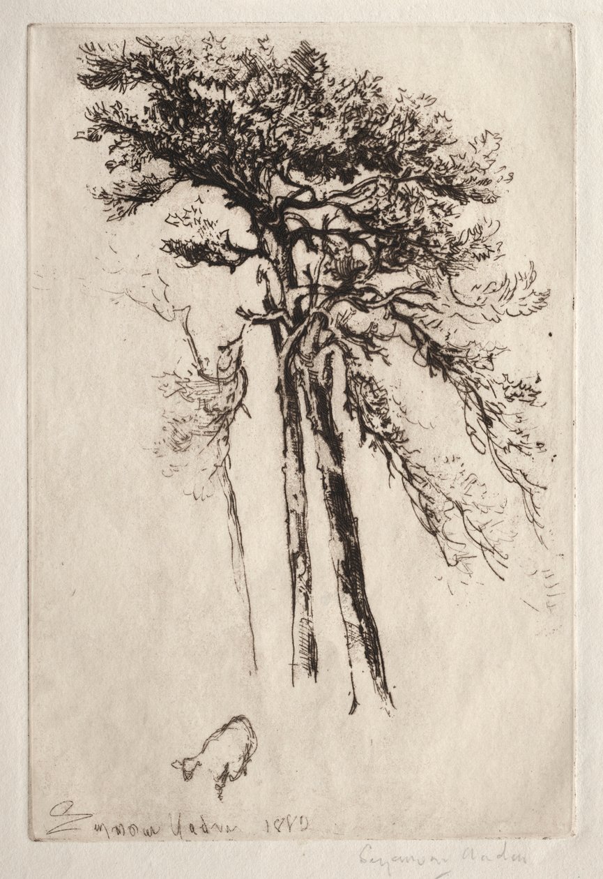 El último árbol de Francis Seymour Haden