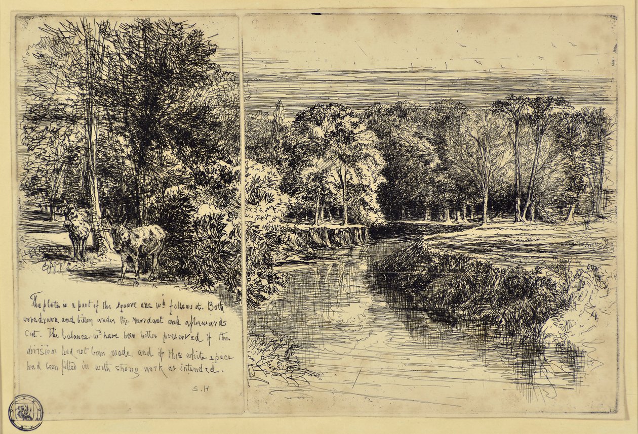 Los dos asnos y el río Dundrum de Francis Seymour Haden