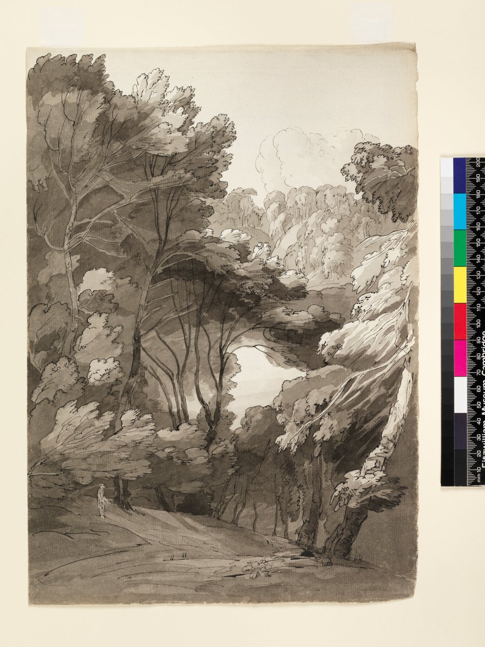 Un paisaje boscoso, 1788 de Francis Towne