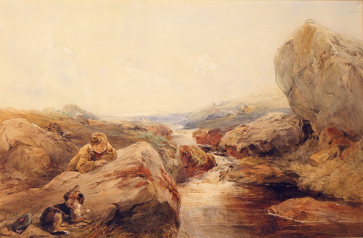 En los páramos, 1843 de Francis William Topham