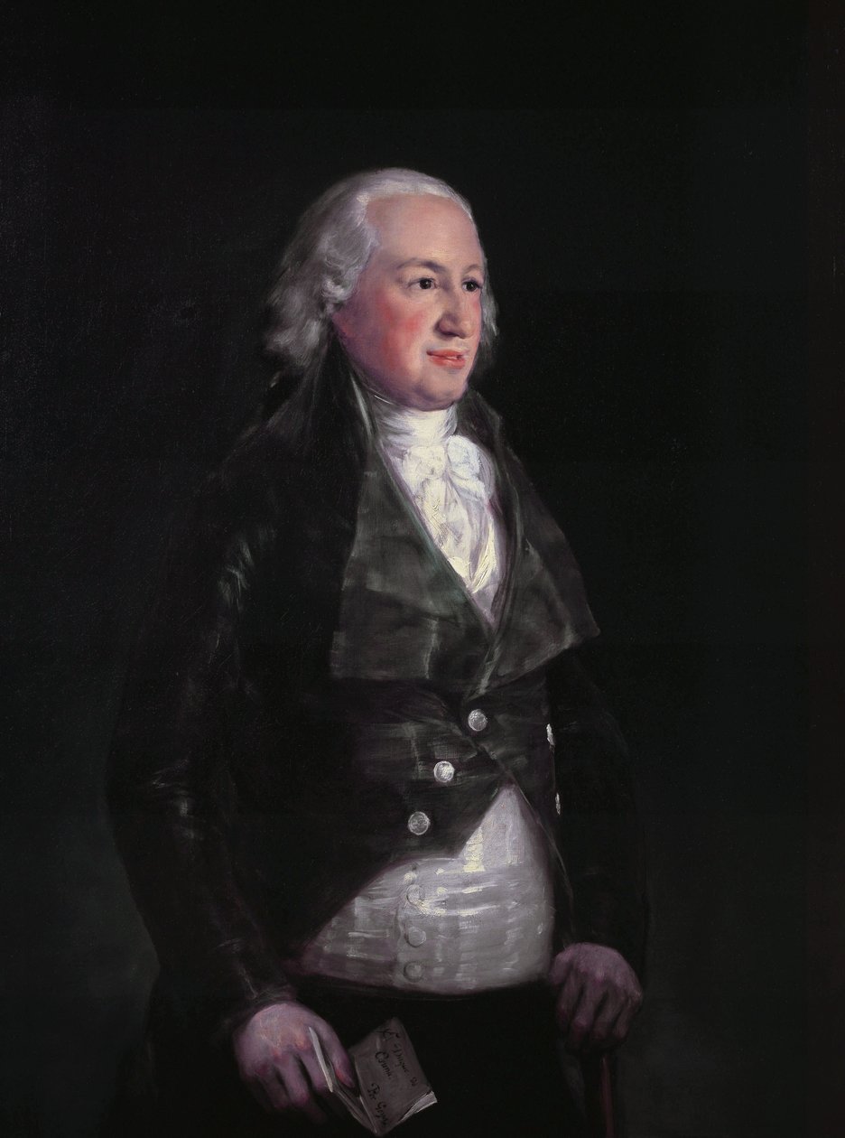 Don Pedro de Alcántara Téllez Girón de Francisco de Goya
